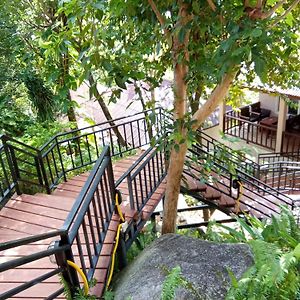 Pawpaw Resort